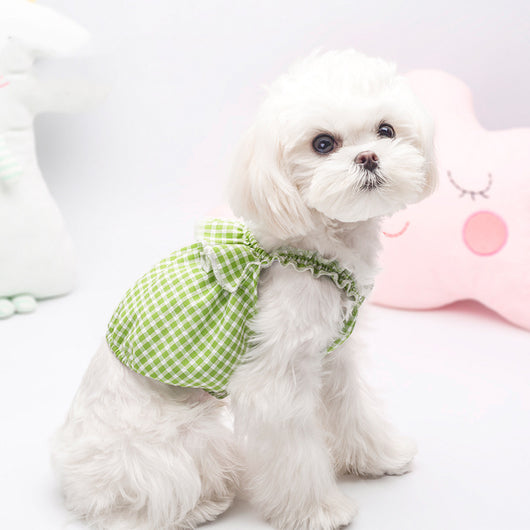 Ropa Transpirable para Gatos Otoño - Suéter Teddy Cómodo
