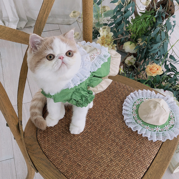 Disfraz Lolita para Mascotas - Traje de Sirvienta con Sombrero