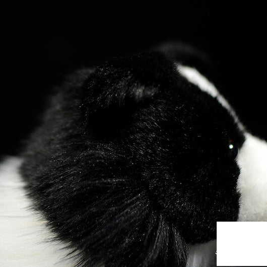Peluche Border Collie Realista - Muñeco Suave y Adorable - Image 9