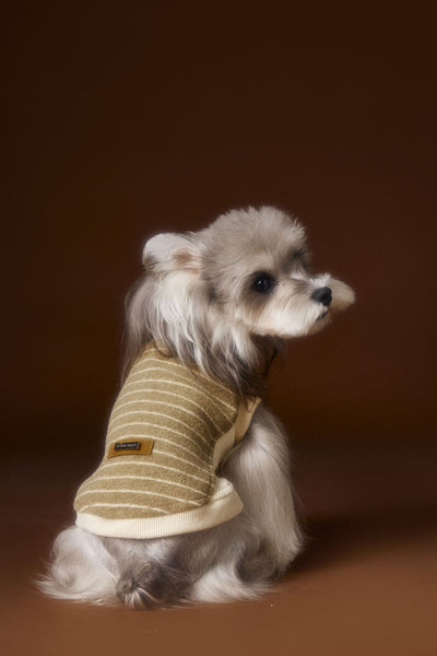 Suéter Tejido sin Mangas para Perros Pequeños Bichón Maltés York - Image 22