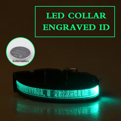 Collar Luminoso para Perros con Grabado Radium - Identificación Nocturna - Image 6