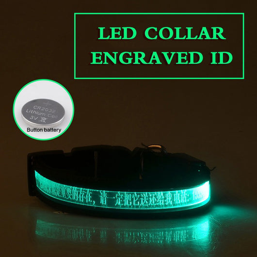 Collar Luminoso para Perros con Grabado Radium - Identificación Nocturna - Image 6