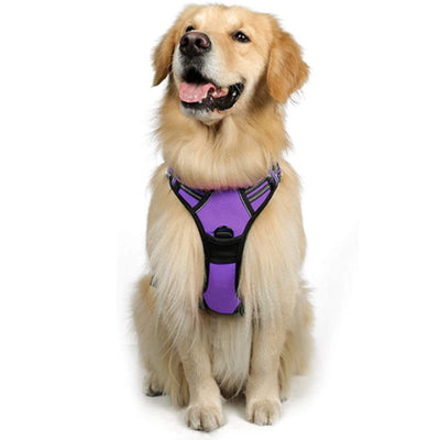 Chaleco Arnés para Perros Grandes con Correa Integrada - Image 14
