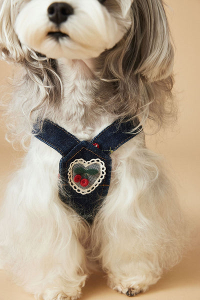 Vestido Denim de Cereza para Perras - Ropa de Primavera y Verano - Image 14
