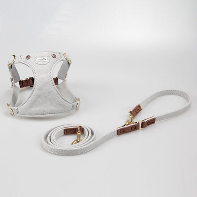 Arnés Ajustable para Perros Pequeños - Diseño Teddy Adorable - Image 2