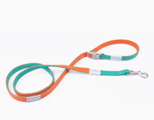 Arnés de Tracción con Diseño Bicolor para Perros - Image 7