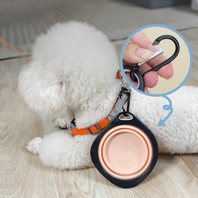 Comedero Plegable Portátil para Mascotas - Tazón de Viaje Multicolor para Perros y Gatos - Image 11