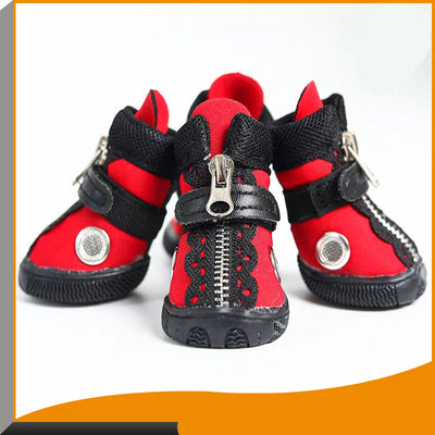 Zapatos Modernos para Mascotas - Estilo Europeo y Estadounidense - Image 9