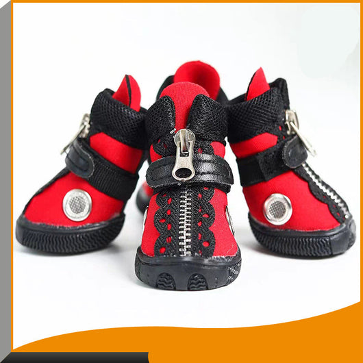 Zapatos Modernos para Mascotas - Estilo Europeo y Estadounidense - Image 9