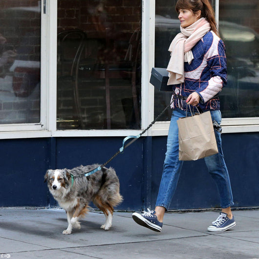 Correa Extensible para Pasear Mascotas - Portátil y Segura - Image 4