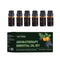 Conjunto de Aceites Aromáticos con Perfume de Larga Duración