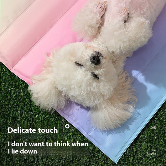 Colchoneta Refrescante para Perros - Mat de Gel para Verano - Image 3