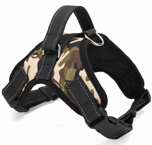 Arnés de Cuero Premium con Cuerda de Sujeción Manual para Golden Retriever - Resistencia a Prueba de Explosión - Image 9