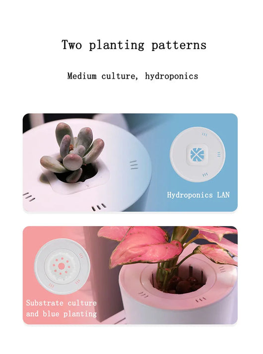 Sistema de Cultivo Hidropónico Automático - Image 12