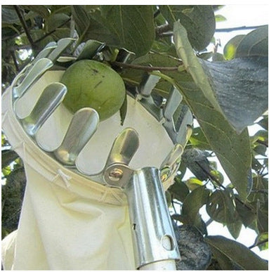 Recolector de Frutas Telescópico para Huertos de Altura - Image 4