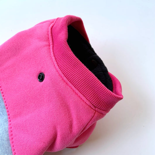 Ropa DIY para Perros Grandes y Bichones - Diseña el Estilo de tu Mascota - Image 11