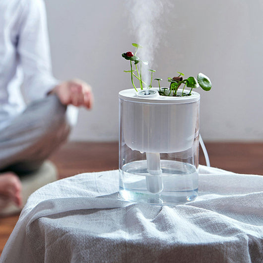 Creative small ecological humidifier with a succulent plant and white stones on top, featuring a clear water tank.