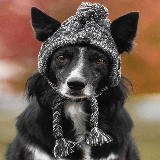 Gorro de Lana para Perros - Colección Otoño Invierno - Image 5