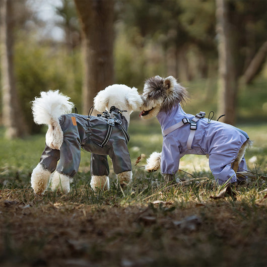 Impermeable para Perros con Estilo Personalizado - Image 12