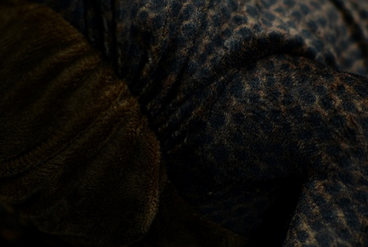 Peluche Dragón de Komodo Realista - Image 5