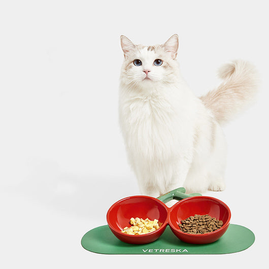 Comedero Doble Gato Cerámica Cherry Bowl