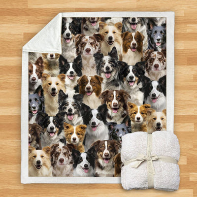 Manta Franela Estampada para Perros - Image 21