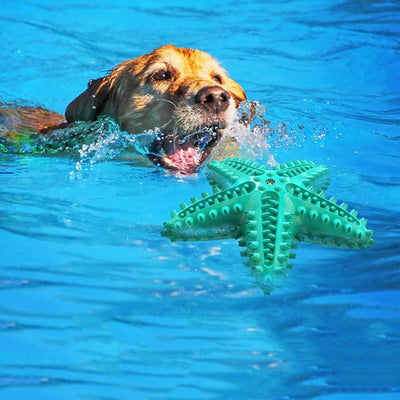 Juguete Limpiador de Dientes para Perros Grandes - Estrella Interactiva con Sonido Chirriante - Image 3