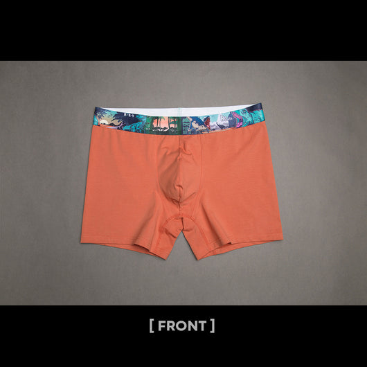 Bóxers de Algodón Multicolor con Estampado Infantil para Hombre - Image 15