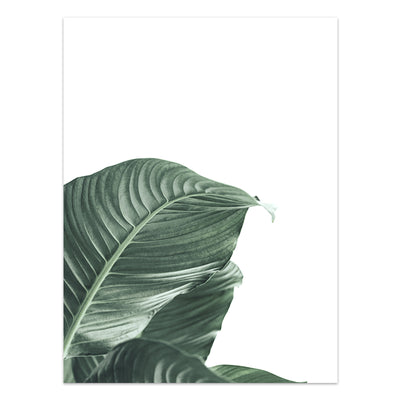 Póster de Plantas Tropicales Estilo Nórdico - Lámina de Hojas Verdes - Image 21