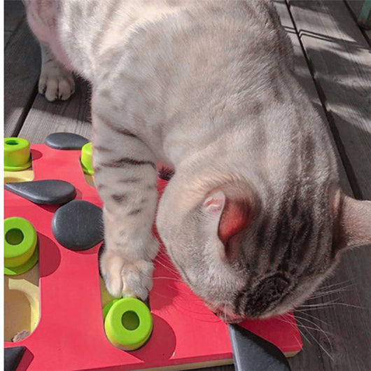 Juguete Interactivo para Gatos - Tablero de Diversión y Alimentación - Image 14