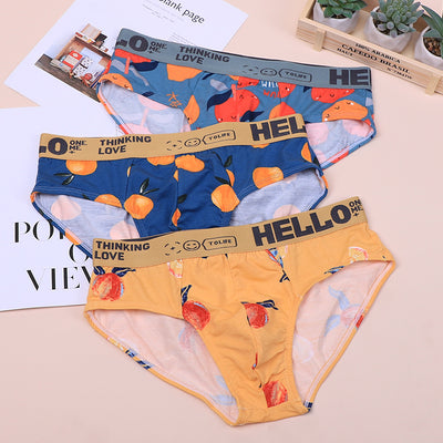 Calzoncillos Talla Grande para Niños en Algodón Premium - Image 9