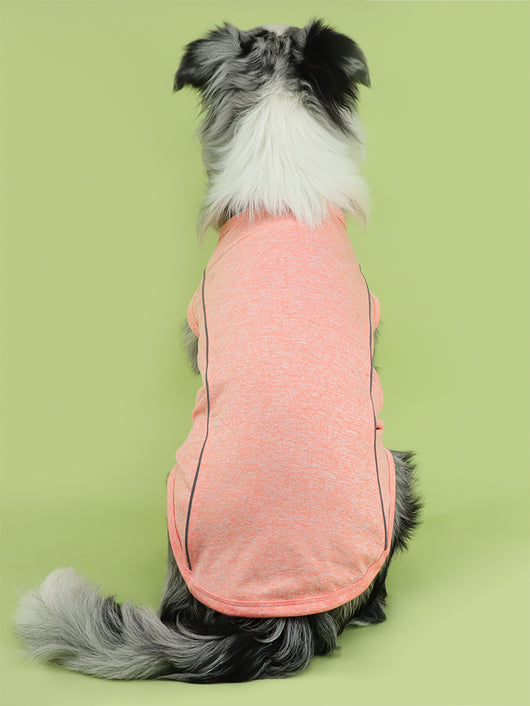 Ropa Reflectante para Perros Pequeños - Chaleco Luminoso Teddy, Pomerania y Pug - Image 11