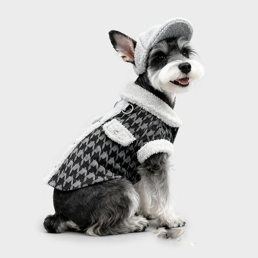 Abrigo Acolchado de Algodón para Perros Pequeños - Image 11