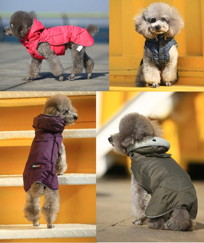 Ropa de Algodón para Perros Otoño e Invierno - Image 18