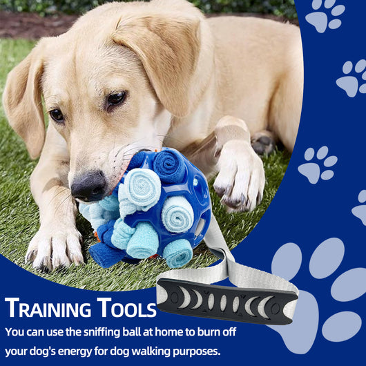 Pelota Interactiva Hueca con Sonido para Perros y Gatos - Juguete Educativo con Campana - Image 13