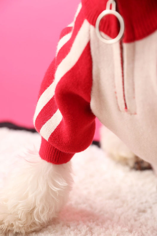 Suéter Deportivo para Perros - Cardigan Cómodo para Mascotas - Image 19