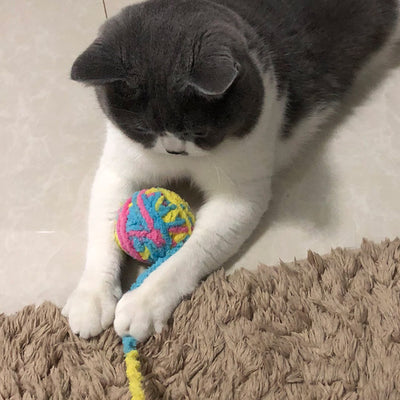 Juguete Interactivo para Gatos - Vara con Bola de Estambre - Image 19