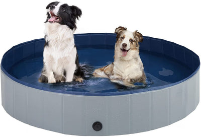 Piscina Plegable para Mascotas con Placa Antideslizante Reforzada - Image 11
