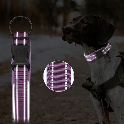 Collar Reflectante para Perros en Poliéster Resistente - Image 19