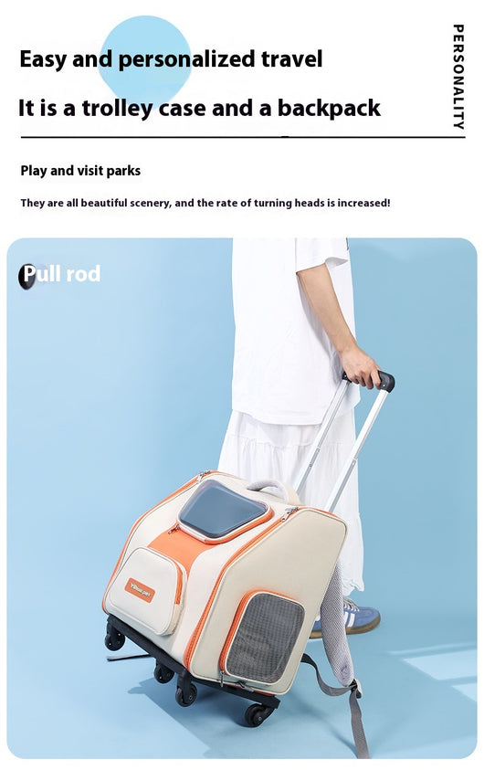 Bolsa Transportadora Panorámica para Gatos - Gran Capacidad - Image 19