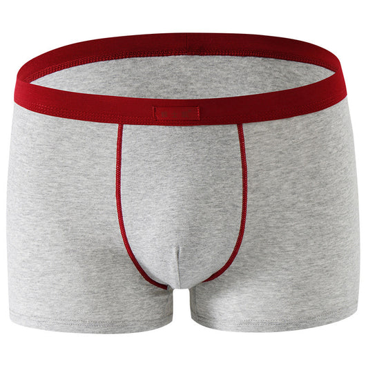 Shorts de Algodón Talla Grande Cómodos y Sensuales - Image 27