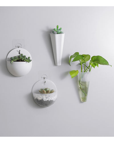 Maceta Colgante Hidropónica de Pared - Jardinera Automática para Plantas de Interior - Image 2