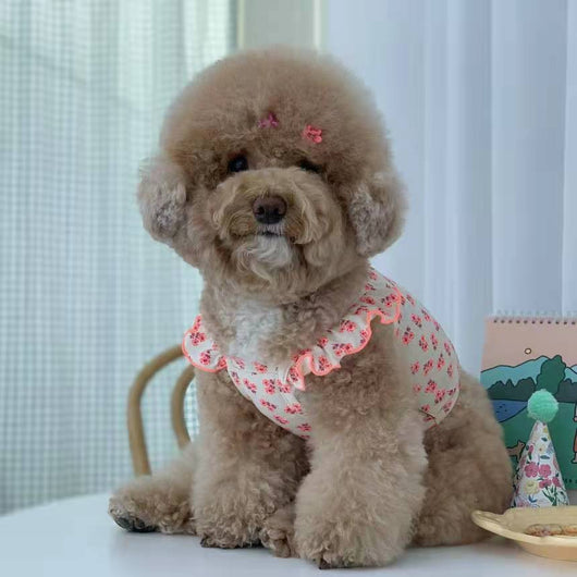 Falda Protectora para Perros Pequeños, Medianos y Grandes - Image 20