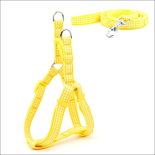 Arnés Pechera para Perros Pequeños y Medianos con Estampado de Lunares - Image 19