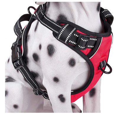 Arnés Reflectante Transpirable para Perros Medianos y Grandes - Chaleco de Seguridad Ajustable - Image 13