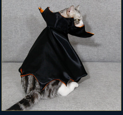 Capa de Halloween para Gatos - Disfraz Festivo Elegante - Image 24