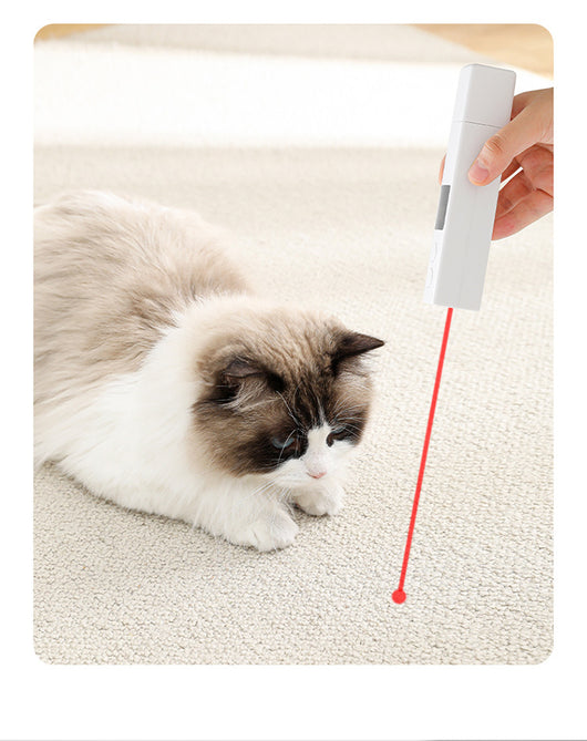 Cortauñas Eléctrico para Mascotas con Luz LED y Cubierta Protectora - Image 23