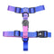 Purple S