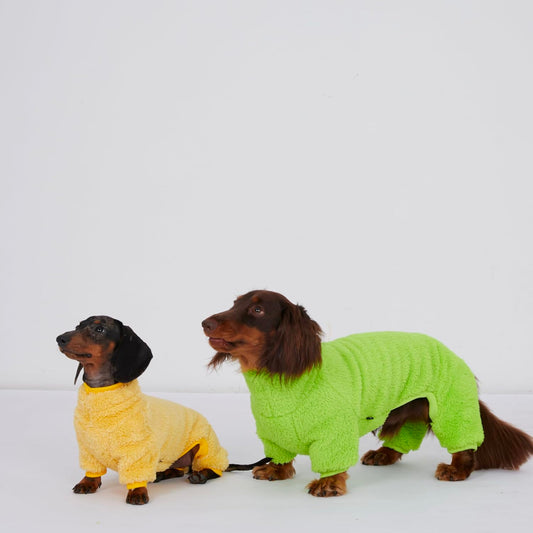 Abrigo Térmico para Perros Salchicha - Invierno Cálido y Resistente - Image 2