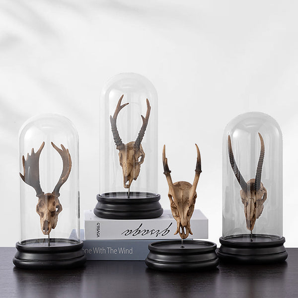 Decoración de Fósil Óseo Minimalista - Pieza Personalizada Única